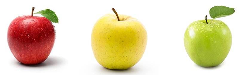 tüplü aşılı elma fidanı satın al