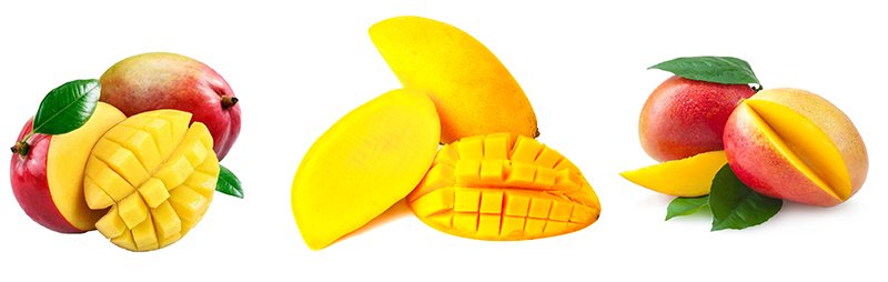 tüplü mango fidanı kurusu satın al